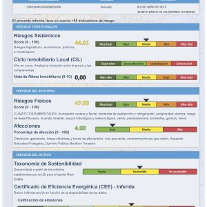 Informe consolidado